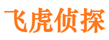 西充市私家侦探